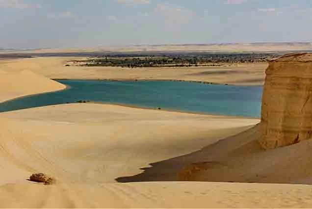 4 Days Trip To Wadi El Hitan And El Minya With Drop Off In Luxor (5)