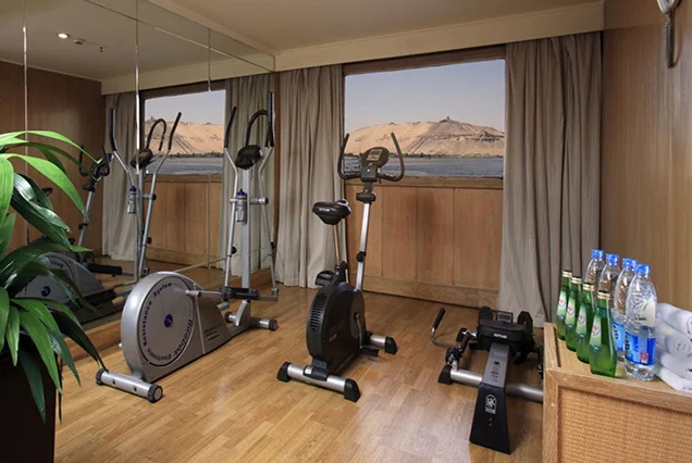 MS Nubian Sea Lake Nasser Cruise 4 Days (5)