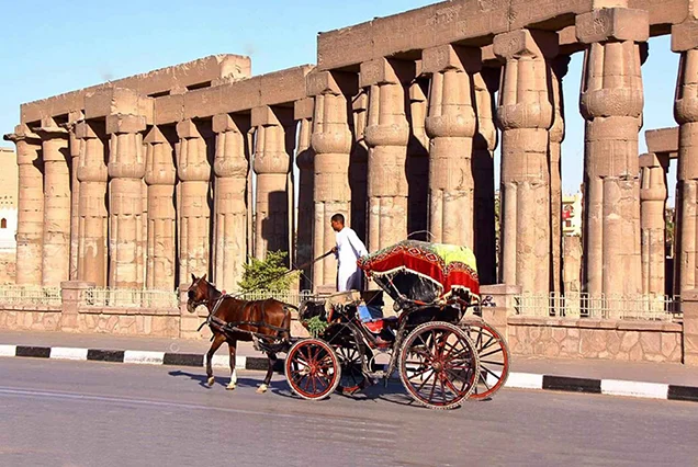 Two Days Trip To Luxor From Cairo By Flight (6)