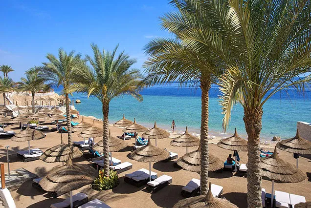Egypt Christmas Holiday with Sharm El Sheikh 12 Days (9)