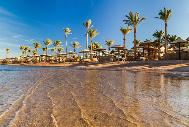 Egypt Christmas Vacation Package 9 Nights (4)