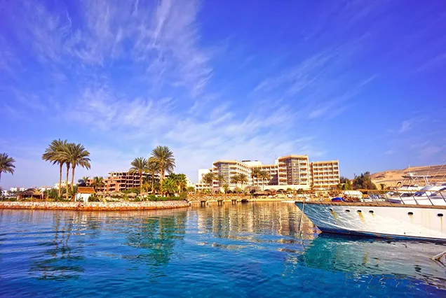 Egypt Christmas Vacation Package 9 Nights (6)