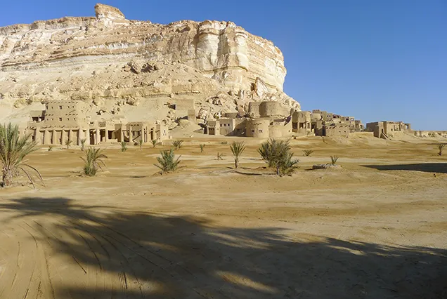 7 Days Cairo to Siwa Oasis Tour (14)